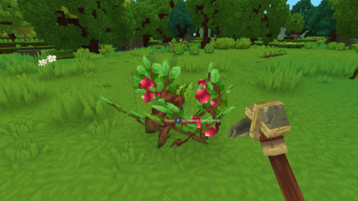 Wild Berry Bush Location