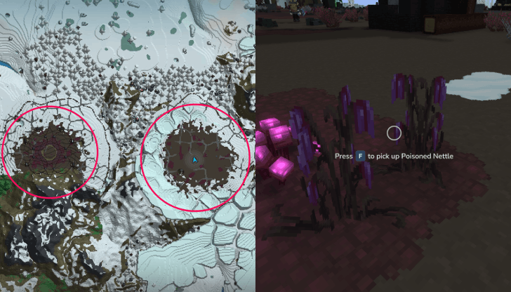 Poisoned Nettle Location