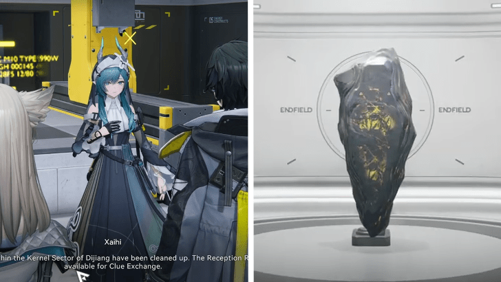 When Can You Change Genders