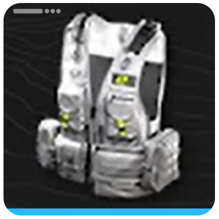 Mordvolt Resistant Vest