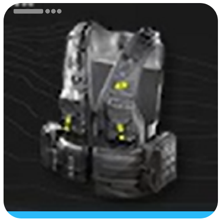 Mordvolt Insulation Vest