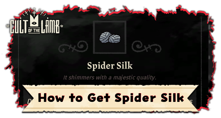 How to Get Spider Silk