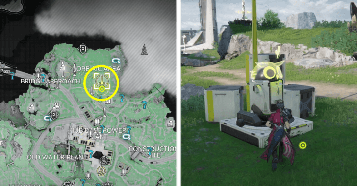 View the AIC Steward