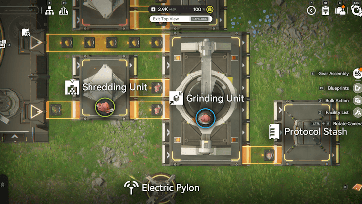 Ground Buckflower Powder Line Blueprint