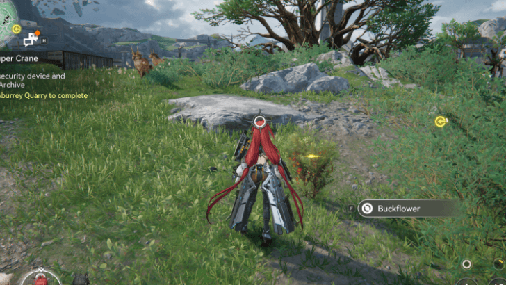 Arknights Endfield Buckflower Located in Valley IV