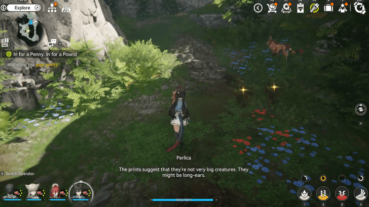 Follow the Paw Prints