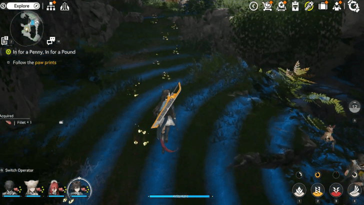 Follow The Paw Prints