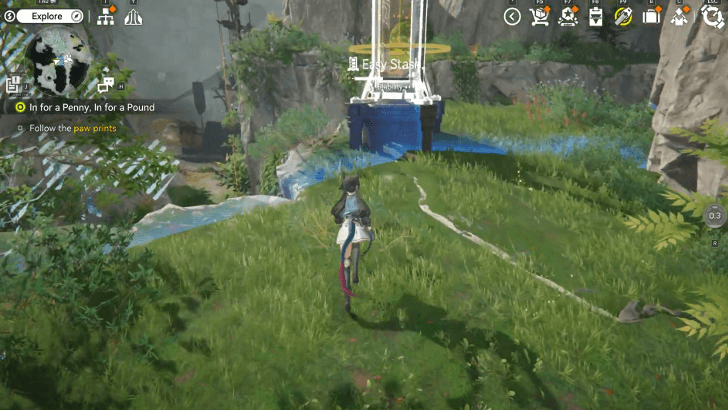 Follow The Paw Prints