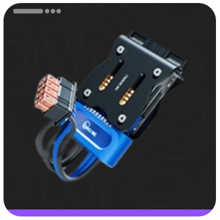 Elementary Cognitive Carrier Item