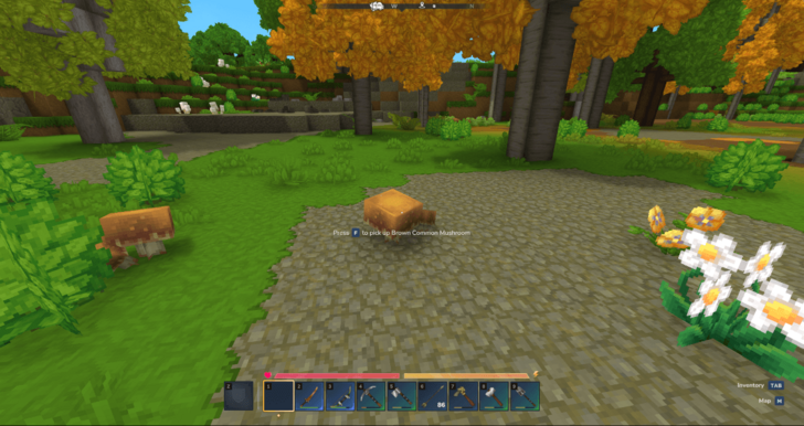 Brown Common Mushroom