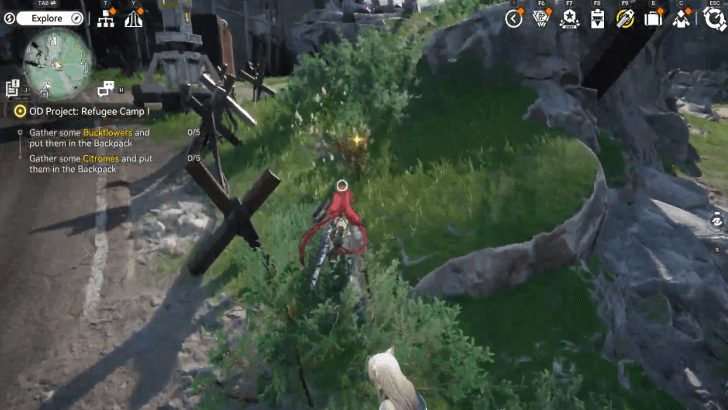 Gather Some Buckflowers and Put Them In the Backpack