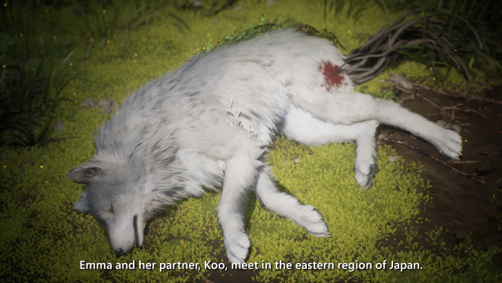 Beast of Reincarnation Koo injured