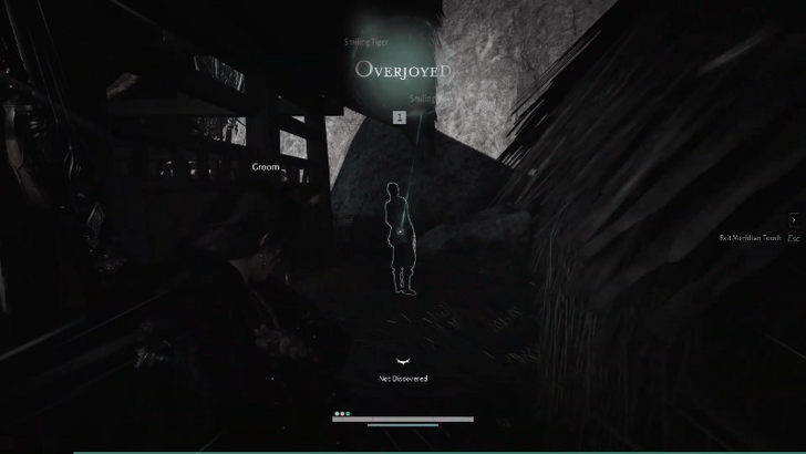 Use Meridian Touch on the Laughing Man