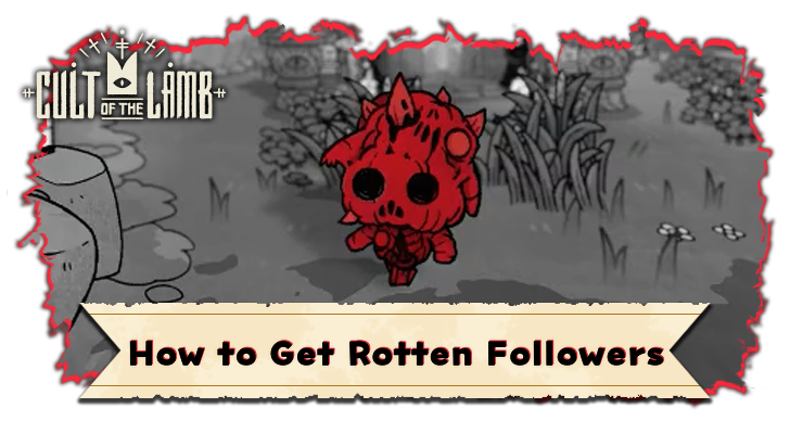 How to Get Rotten Followers
