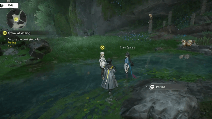 Discuss the Next Step with Perlica