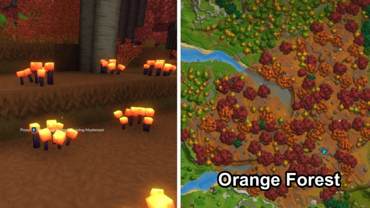 Orange Glowing Mushroom