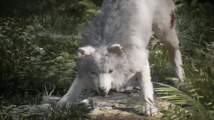 Beast of Reincarnation hostile Koo