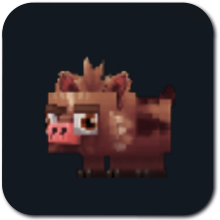 Boar Piglet Icon