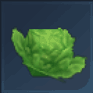 Lettuce Icon
