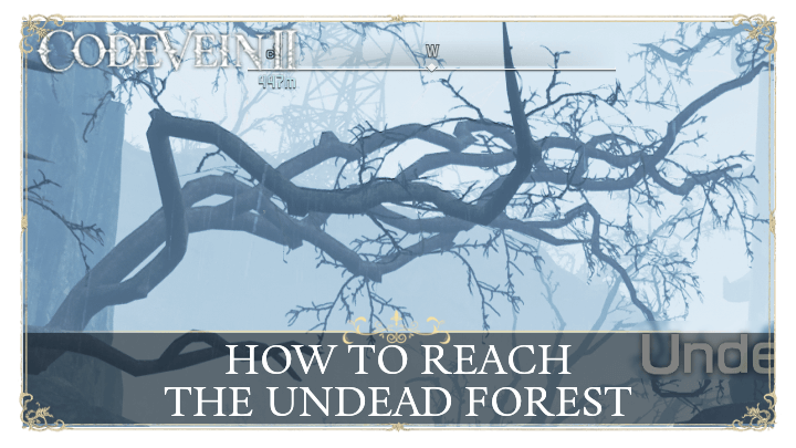 How to Reach the Undead Forest