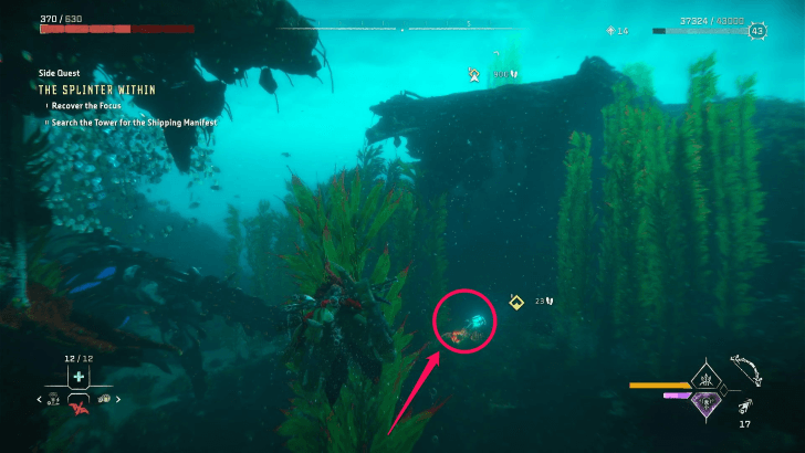 The Splinter Within Tip Swim in a Straight Line Towards the Tideripper Tail