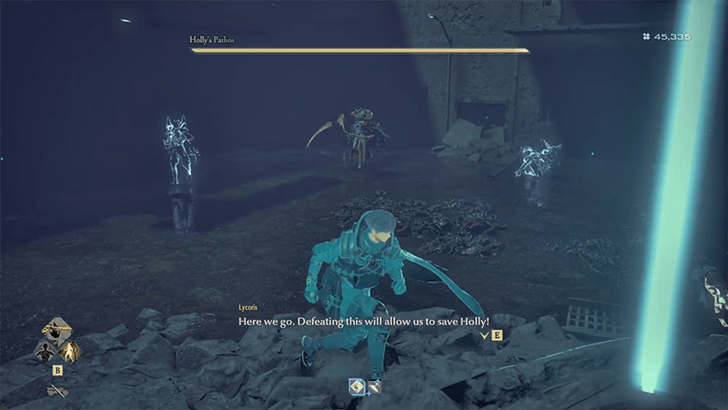 Forest Complex Holly