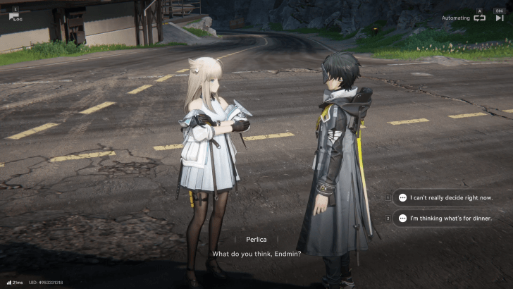 Endfield - Discuss with Perlica