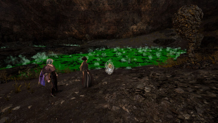 Golden Nectar 20 Location