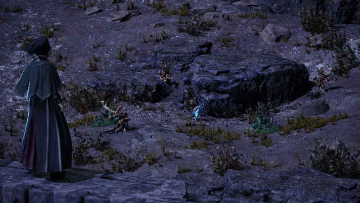 Golden Nectar 18 Location