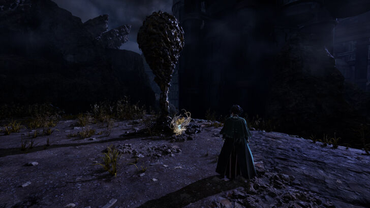 Golden Nectar 19 Location