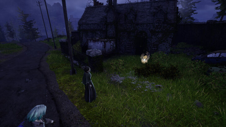 Golden Nectar 15 Location