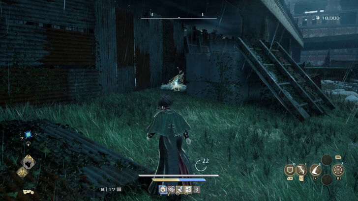 Golden Nectar 05 Location