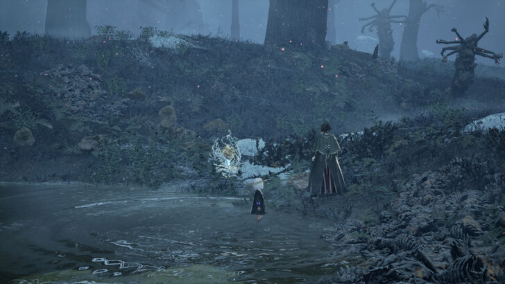 Golden Nectar 33 Location