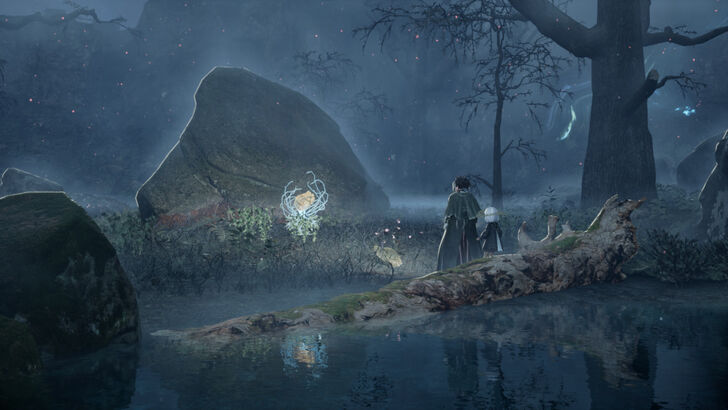 Golden Nectar 30 Location