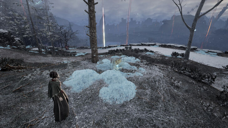 Golden Nectar 34 Location