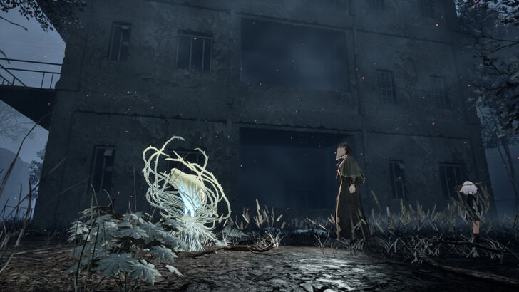 Golden Nectar 32 Location