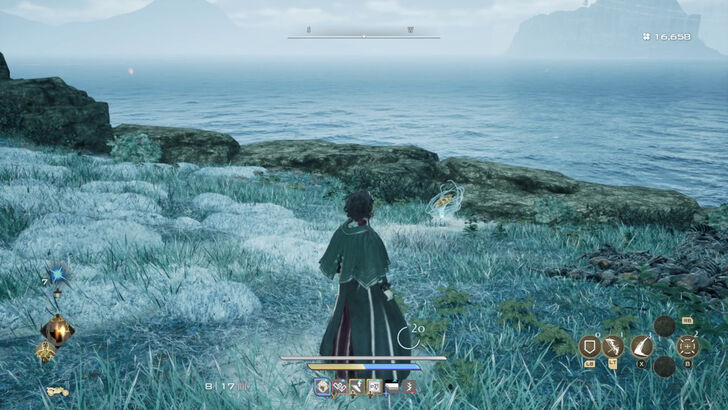 Golden Nectar 11 Location