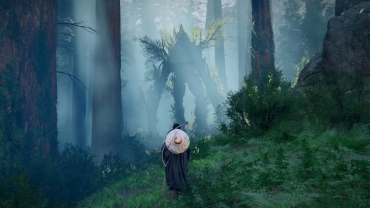 crimson desert forest