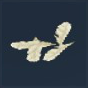 White Feather Icon