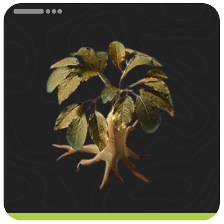 Redjade Ginseng Item