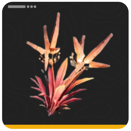 Endfield - False Aggela