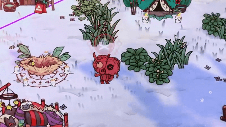 Rotten Follower Dying