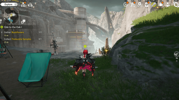 Collect Buckflowers and Craft Firebuckle Samples