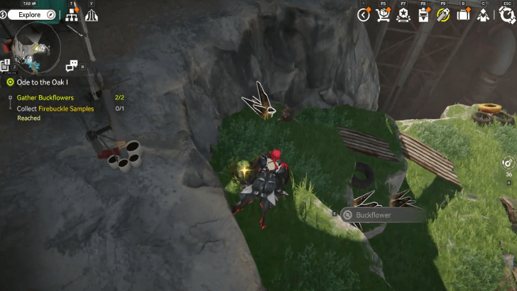 Collect Buckflowers and Craft Firebuckle Samples