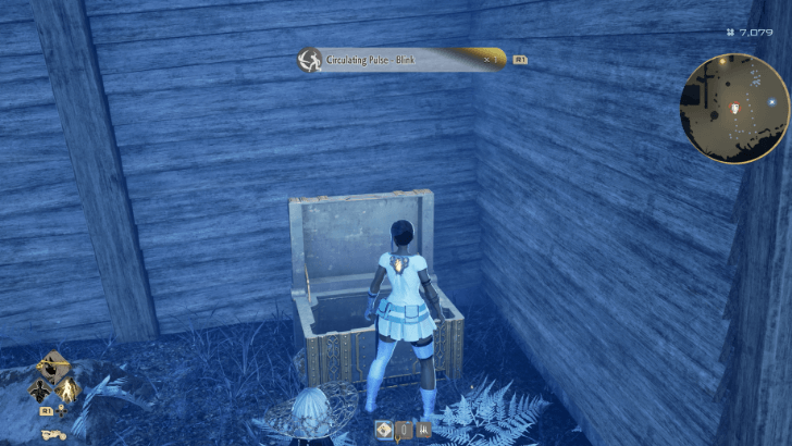 Circulating Pulse - Blink Overworld Location