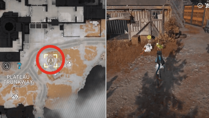 Go to Power Plateau and Hear About Crowe