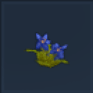 Blue Hibiscus Icon