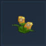 Yellow Hibiscus Icon