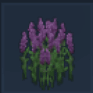 Lavender Icon
