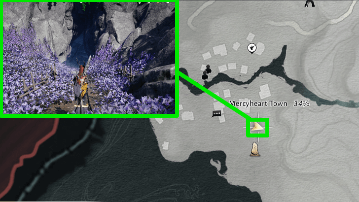 Infernal Dungeon Map Location